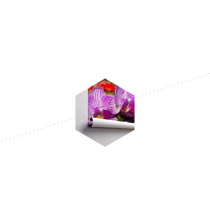 Fototapeta Optyczna Orchidea 3D