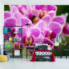 Fototapeta Bukiet Orchidei