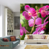 Fototapeta Piękne Orchidee