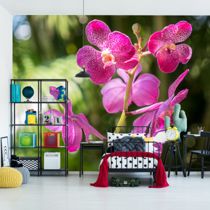 Fototapeta Piękne Orchidee
