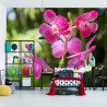 Fototapeta Piękne Orchidee