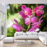 Fototapeta Piękne Orchidee