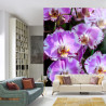 Fototapeta Piękne Orchidee