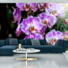 Fototapeta Piękne Orchidee