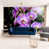 Fototapeta Piękne Orchidee