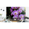 Fototapeta Piękne Orchidee