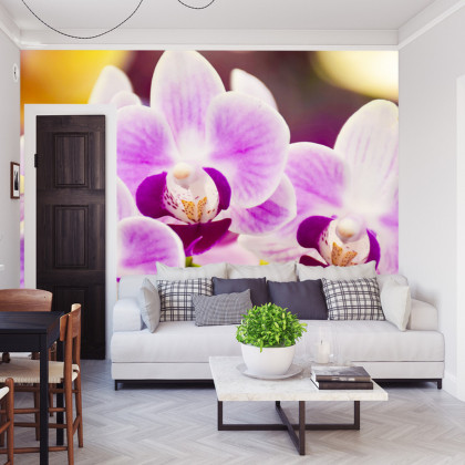 Fototapeta Tropikalna Orchidea