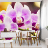 Fototapeta Tropikalna Orchidea
