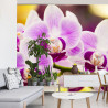 Fototapeta Tropikalna Orchidea