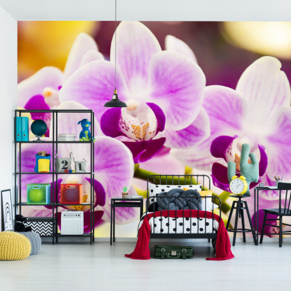 Fototapeta Tropikalna Orchidea