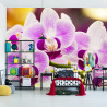 Fototapeta Tropikalna Orchidea