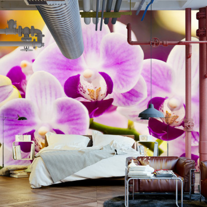 Fototapeta Tropikalna Orchidea