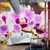 Fototapeta Tropikalna Orchidea