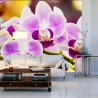 Fototapeta Tropikalna Orchidea