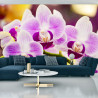 Fototapeta Tropikalna Orchidea