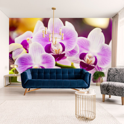 Fototapeta Tropikalna Orchidea