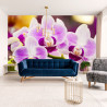 Fototapeta Tropikalna Orchidea