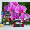 Fototapeta Kwiaty Orchidei 3D