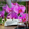 Fototapeta Kwiaty Orchidei 3D