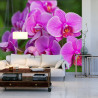 Fototapeta Kwiaty Orchidei 3D
