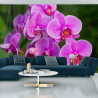 Fototapeta Kwiaty Orchidei 3D