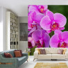 Fototapeta Kwiaty Orchidei 3D
