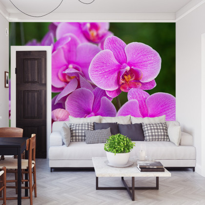 Fototapeta Kwiaty Orchidei 3D
