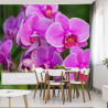 Fototapeta Kwiaty Orchidei 3D