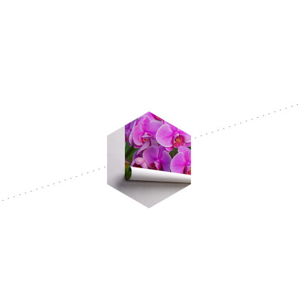 Fototapeta Kwiaty Orchidei 3D