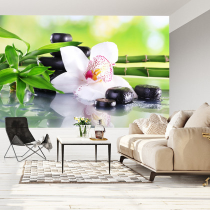Fototapeta Piękny Storczyk Spa