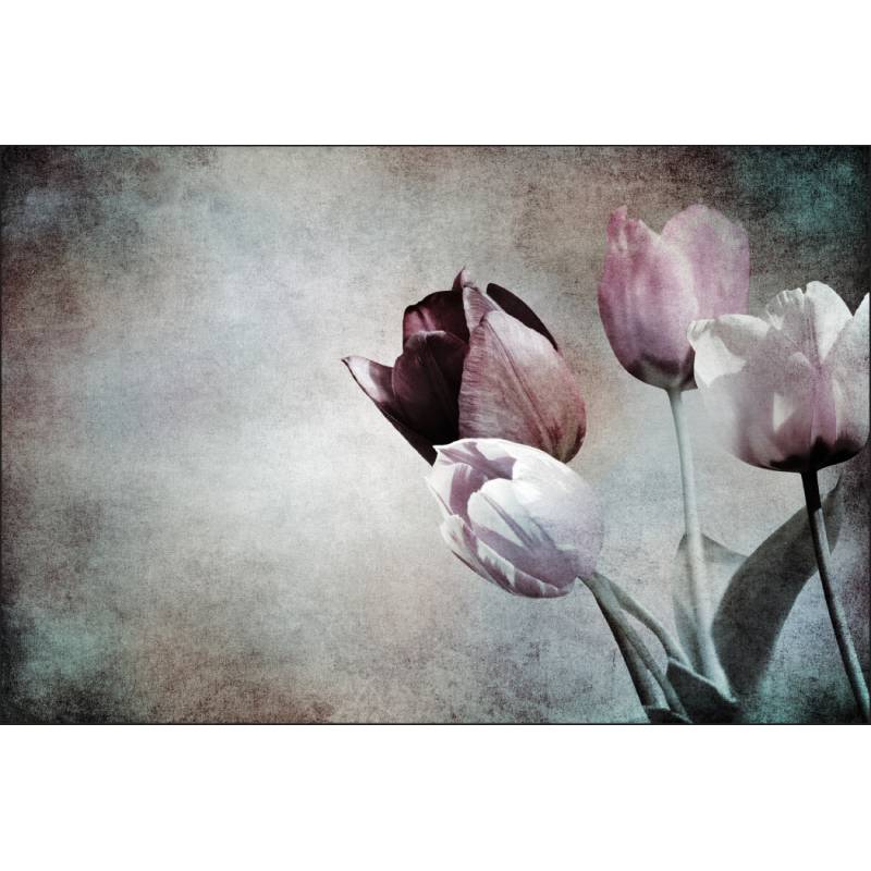 Fototapeta Tulipany W Stylu Vintage
