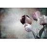 Fototapeta Tulipany W Stylu Vintage