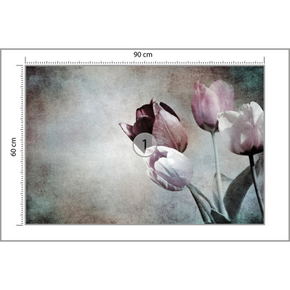 Fototapeta Tulipany W Stylu Vintage