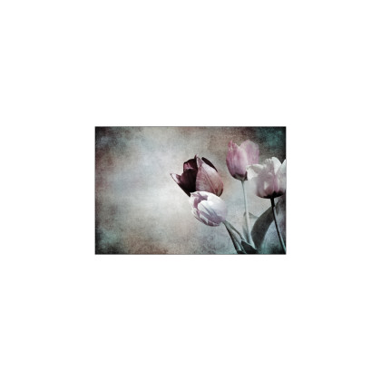Fototapeta Tulipany W Stylu Vintage