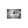 Fototapeta Tulipany W Stylu Vintage