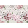 Fototapeta Kwiaty Peonie W Pastelowych Barwach
