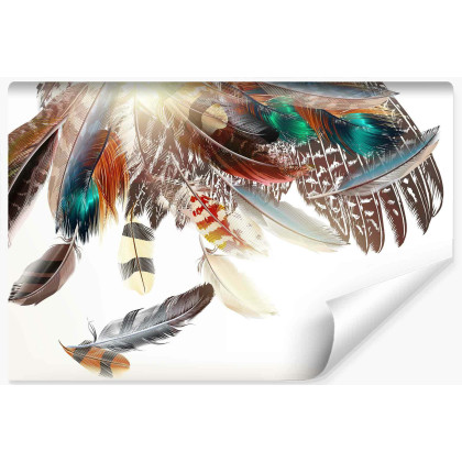 Fototapeta Piórka W Stylu Boho