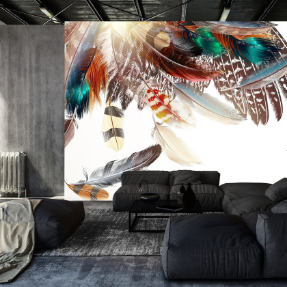 Fototapeta Piórka W Stylu Boho