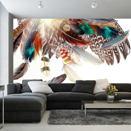 Fototapeta Piórka W Stylu Boho