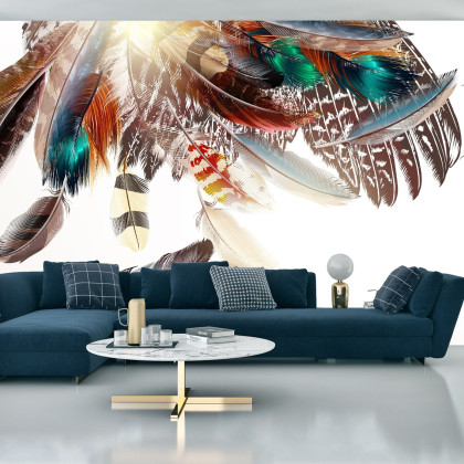 Fototapeta Piórka W Stylu Boho
