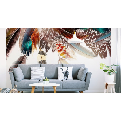Fototapeta Piórka W Stylu Boho