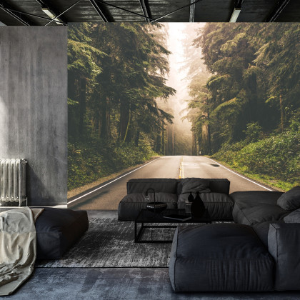 Fototapeta Droga W Amerykańskim Lesie