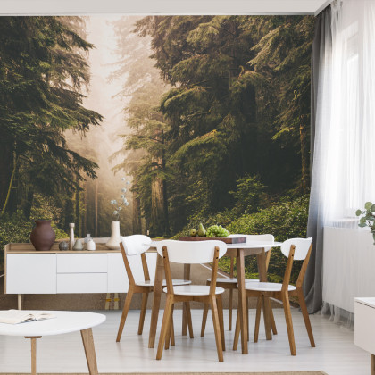 Fototapeta Droga W Amerykańskim Lesie