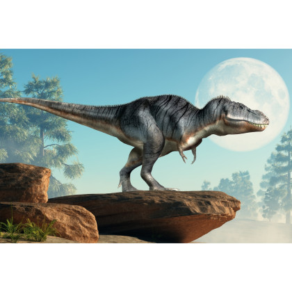 Fototapeta Dinozaur Na Skałach