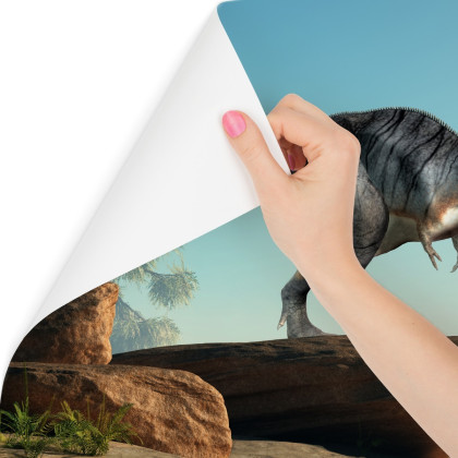 Fototapeta Dinozaur Na Skałach