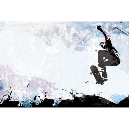 Fototapeta Skateboarding W Stylu Graficznym