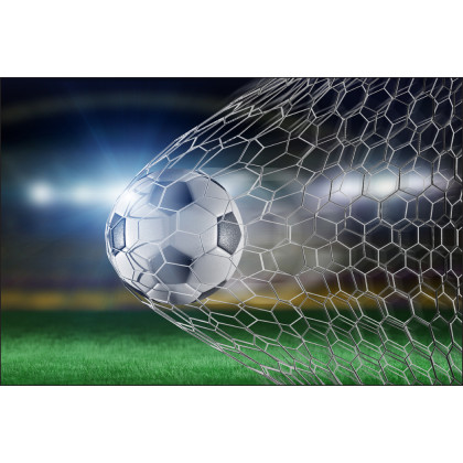 Fototapeta Piłka Nożna Gol 3D