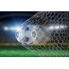 Fototapeta Piłka Nożna Gol 3D