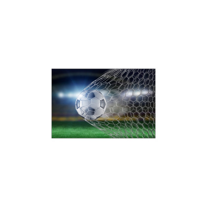 Fototapeta Piłka Nożna Gol 3D