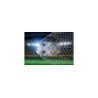 Fototapeta Piłka Nożna Gol 3D